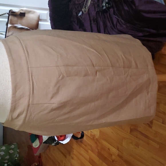 Understated Sexy Ann Taylor Pencil Skirt - Picture 5 of 5